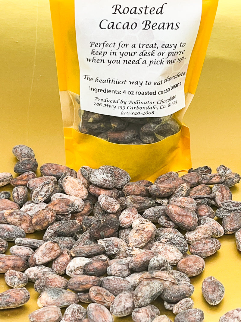 Roasted cacao beans
