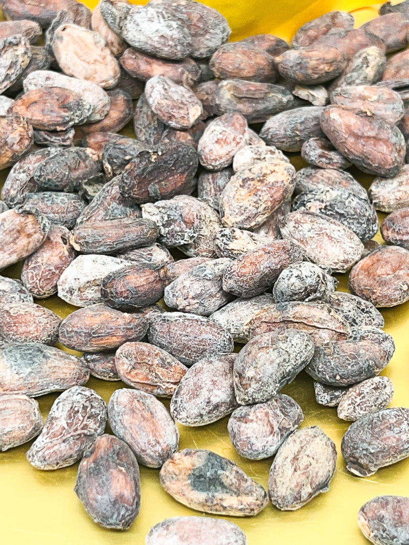 Roasted cacao beans