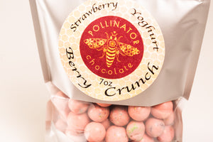 Strawberry Yoghurt Berry Crunch
