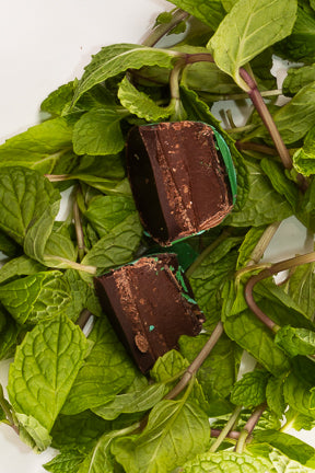 Bonbon Chocolate Mint box of 9